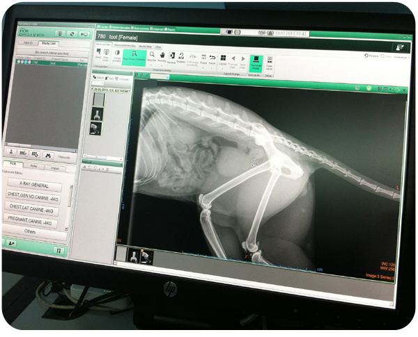 x-ray monitor